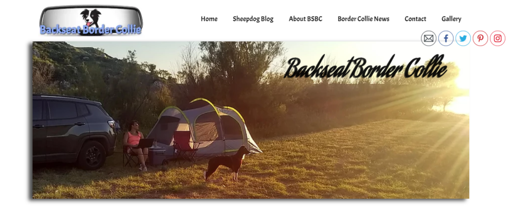 Backseat Border Collie Website